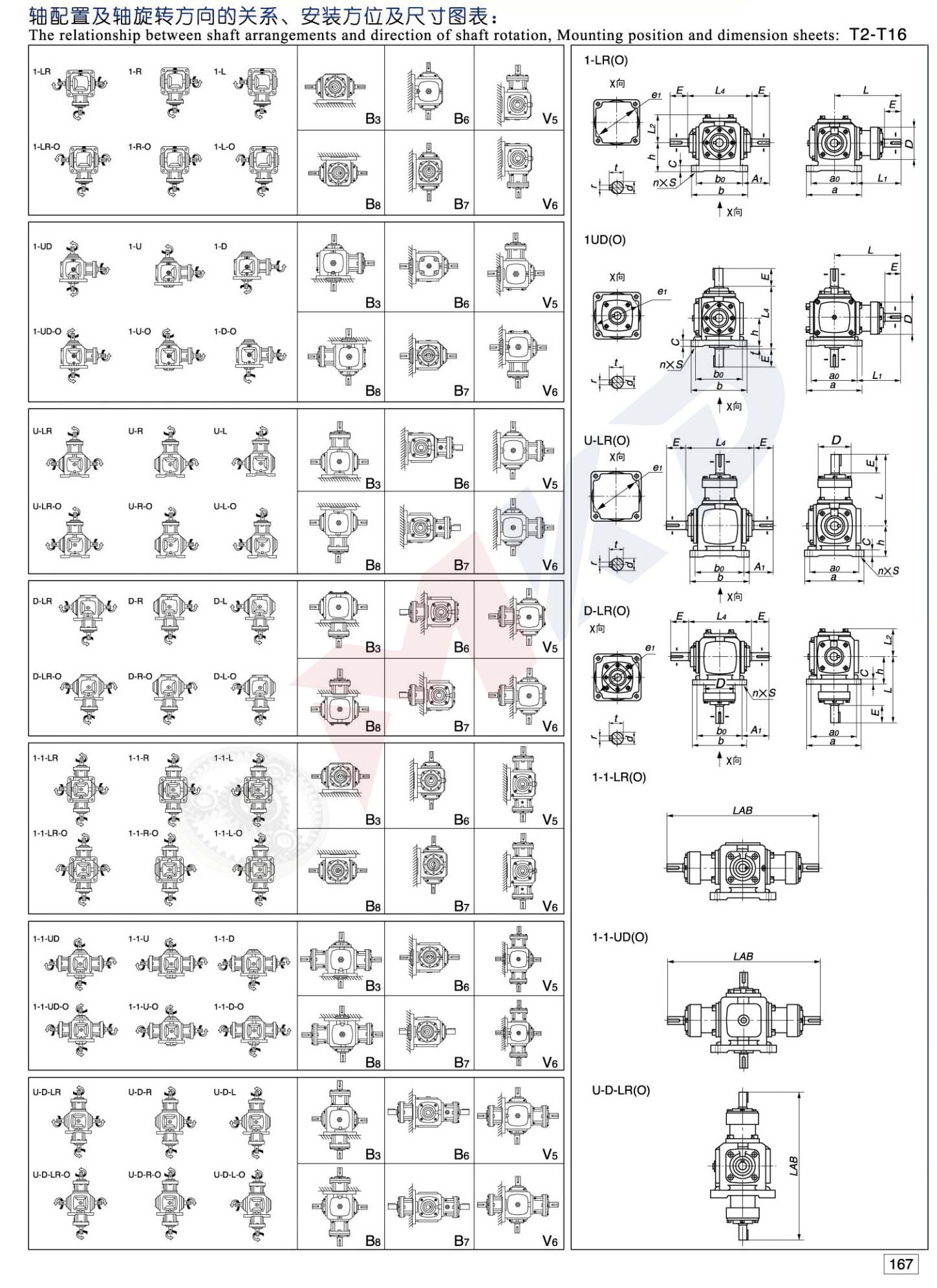 C T Bevel Gearbox 06